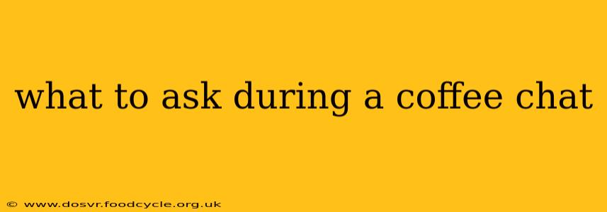 what to ask during a coffee chat