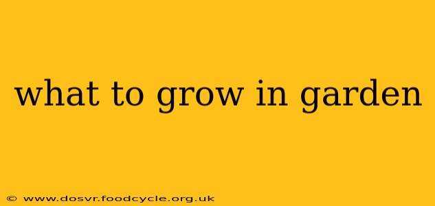 what to grow in garden