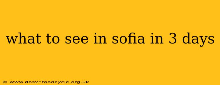 what to see in sofia in 3 days