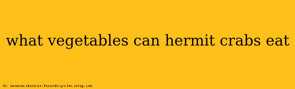 what vegetables can hermit crabs eat