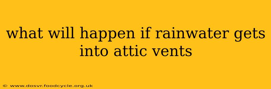 what will happen if rainwater gets into attic vents