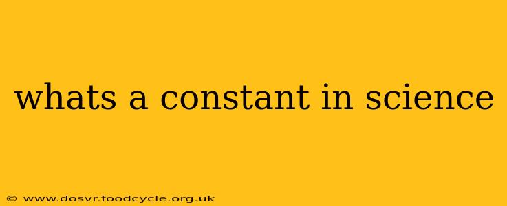 whats a constant in science