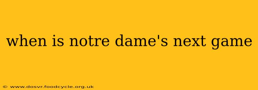 when is notre dame's next game