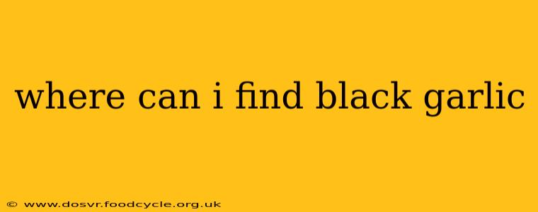 where can i find black garlic