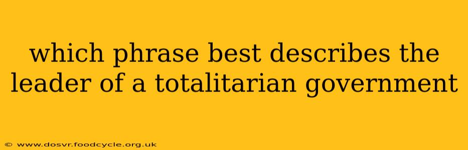 which phrase best describes the leader of a totalitarian government