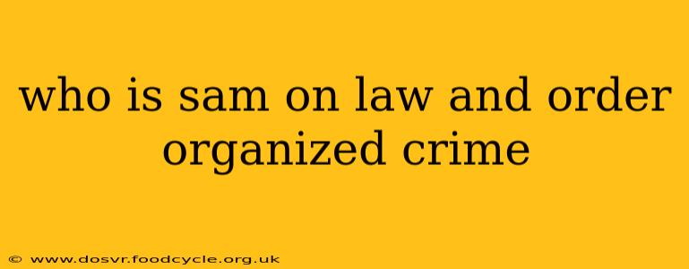 who is sam on law and order organized crime