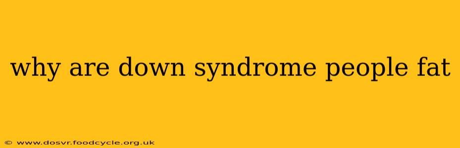 why are down syndrome people fat
