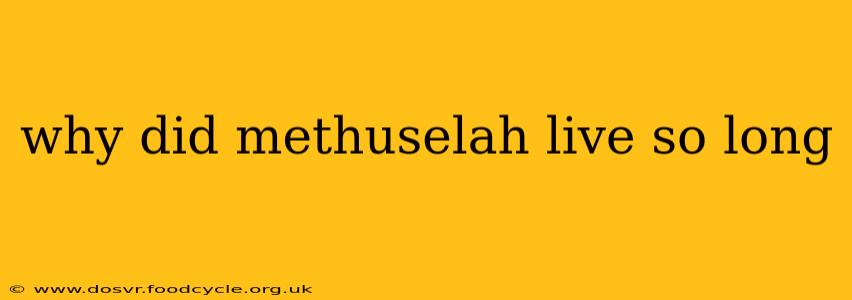 why did methuselah live so long