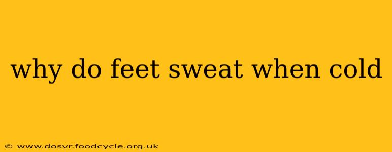 why do feet sweat when cold