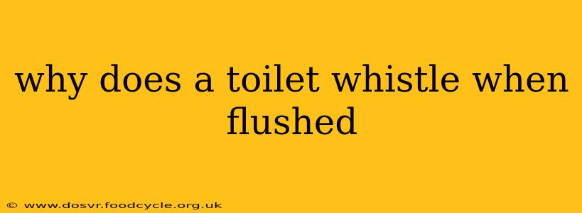 why does a toilet whistle when flushed