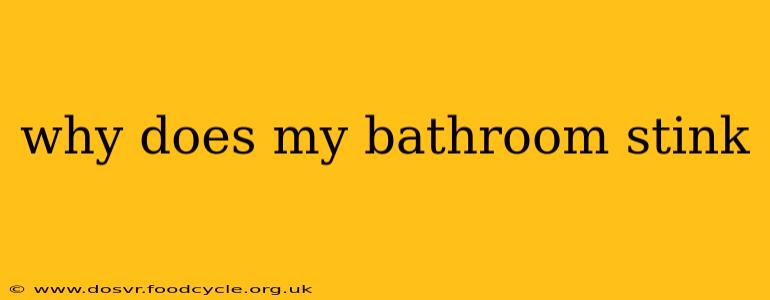 why does my bathroom stink