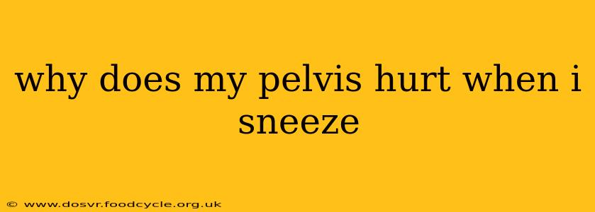 why does my pelvis hurt when i sneeze