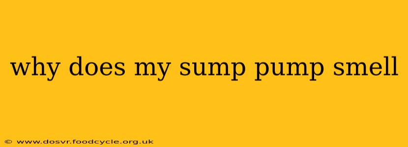 why does my sump pump smell
