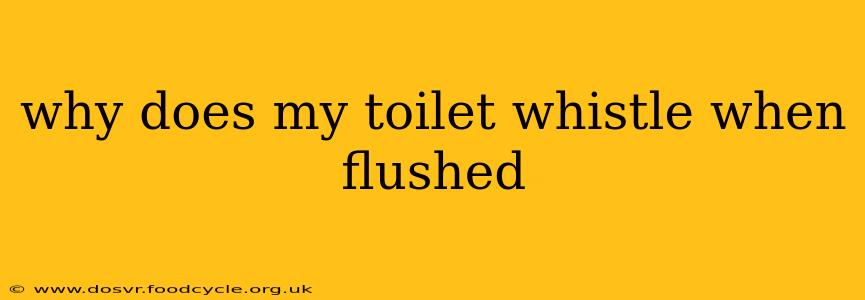 why does my toilet whistle when flushed