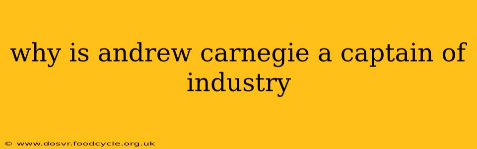 why is andrew carnegie a captain of industry