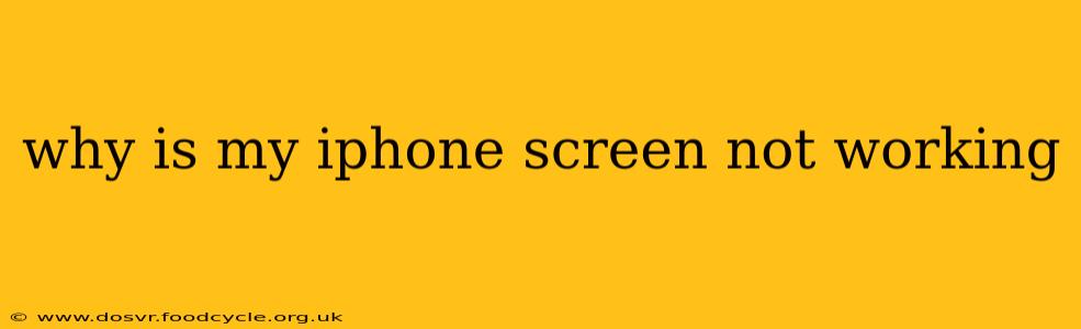 why is my iphone screen not working