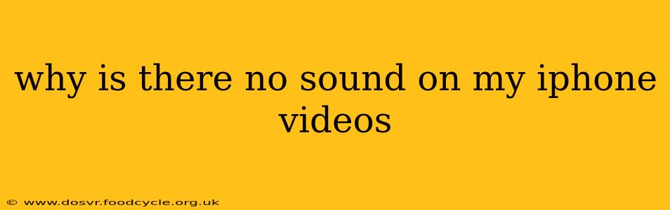 why is there no sound on my iphone videos