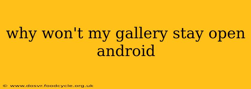 why won't my gallery stay open android