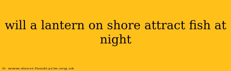 will a lantern on shore attract fish at night