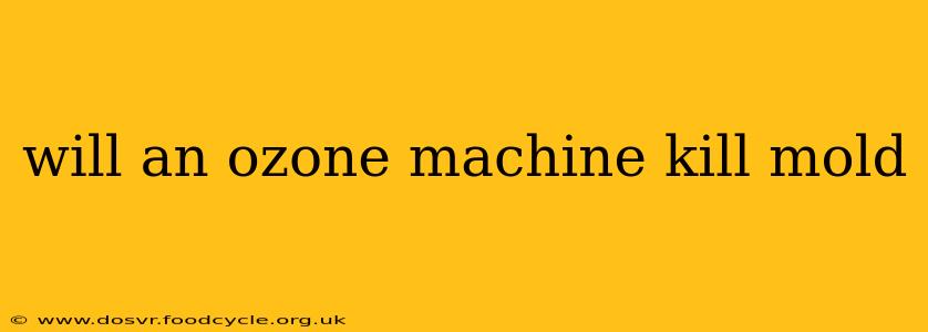 will an ozone machine kill mold