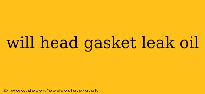 will head gasket leak oil