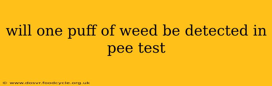 will one puff of weed be detected in pee test