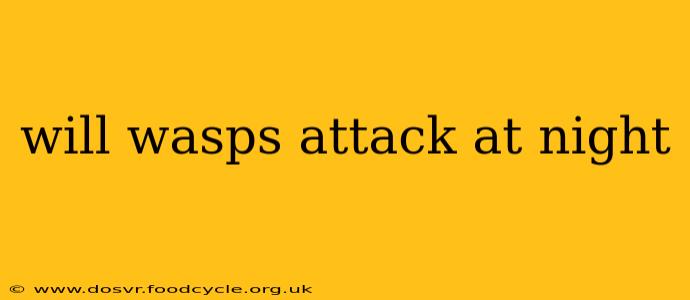 will wasps attack at night