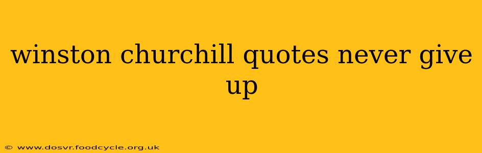 winston churchill quotes never give up