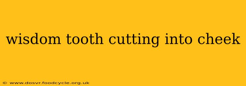 wisdom tooth cutting into cheek