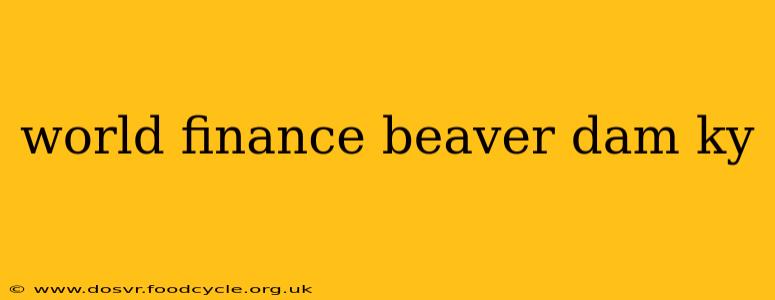 world finance beaver dam ky