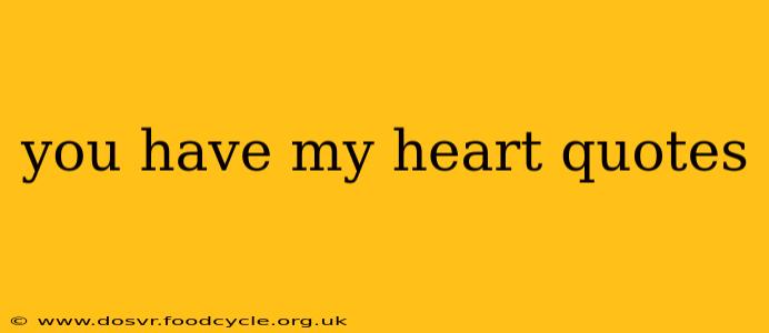 you have my heart quotes