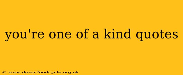 you're one of a kind quotes