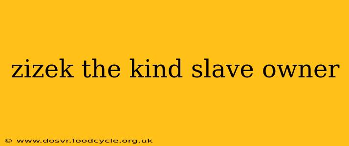 zizek the kind slave owner