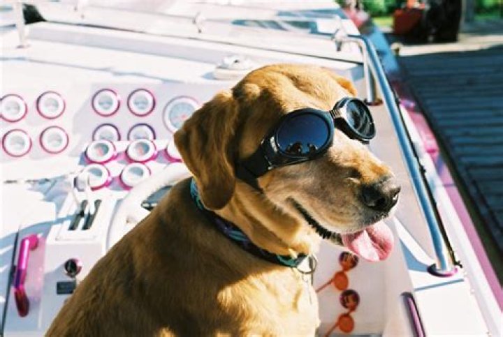 10 Truly Bizarre Ways People Have Made Millions