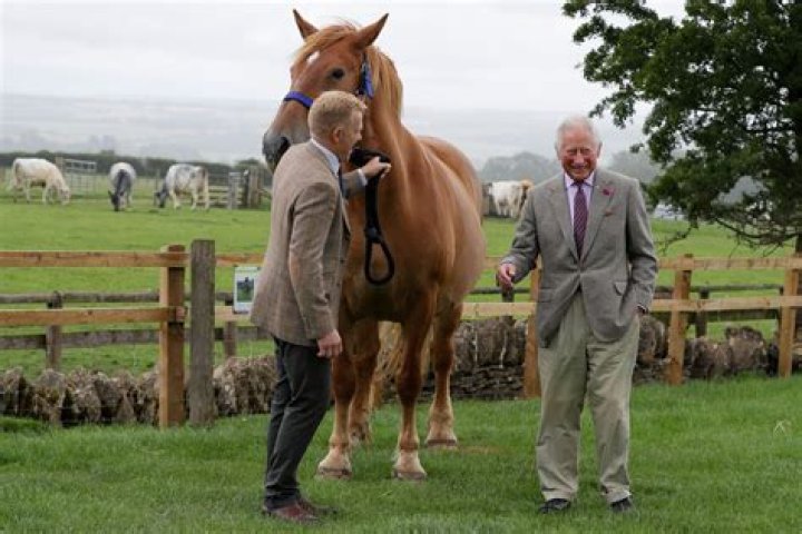 Adam Henson Net Worth | Celebrity Net Worth