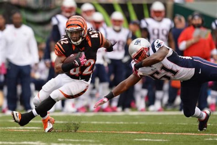 BenJarvus Green-Ellis Net Worth | Celebrity Net Worth