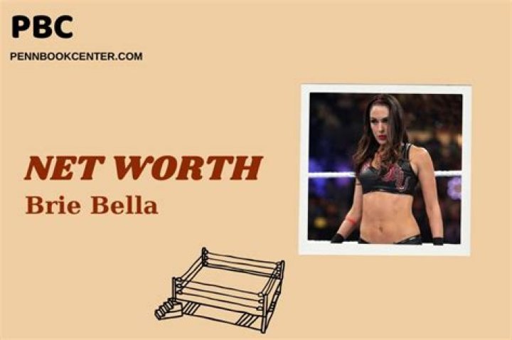 Brie Bella Net Worth | Celebrity Net Worth