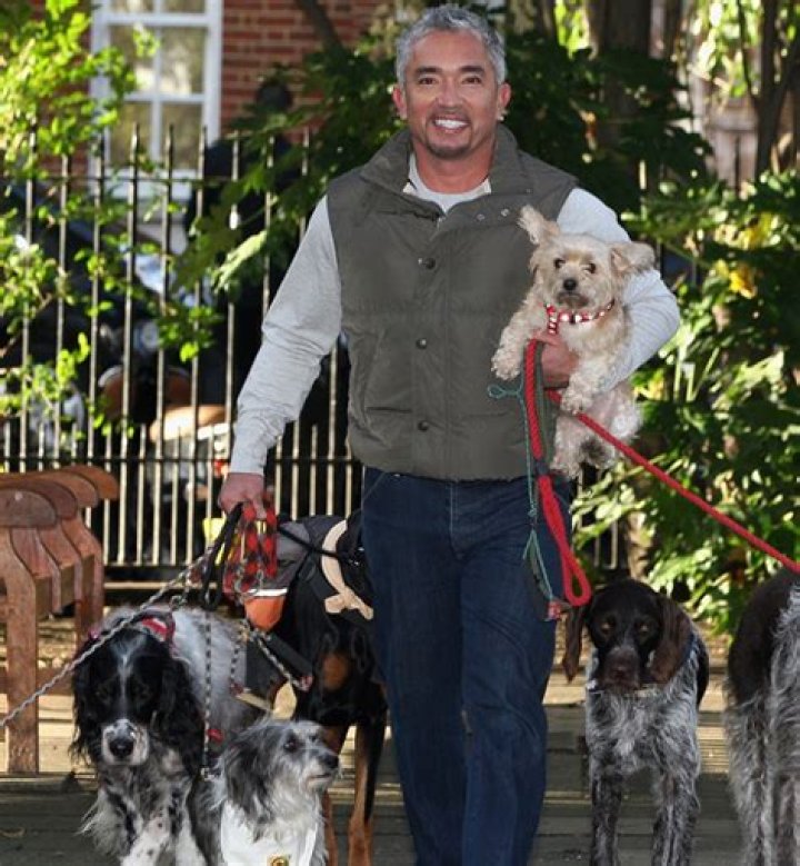 Cesar Millan Net Worth | Celebrity Net Worth