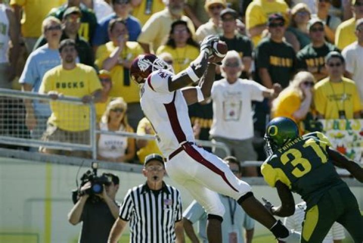 David Darling Net Worth | Celebrity Net Worth