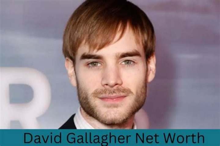 David Gallagher Net Worth | Celebrity Net Worth