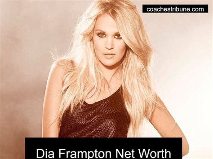 Dia Frampton Net Worth | Celebrity Net Worth