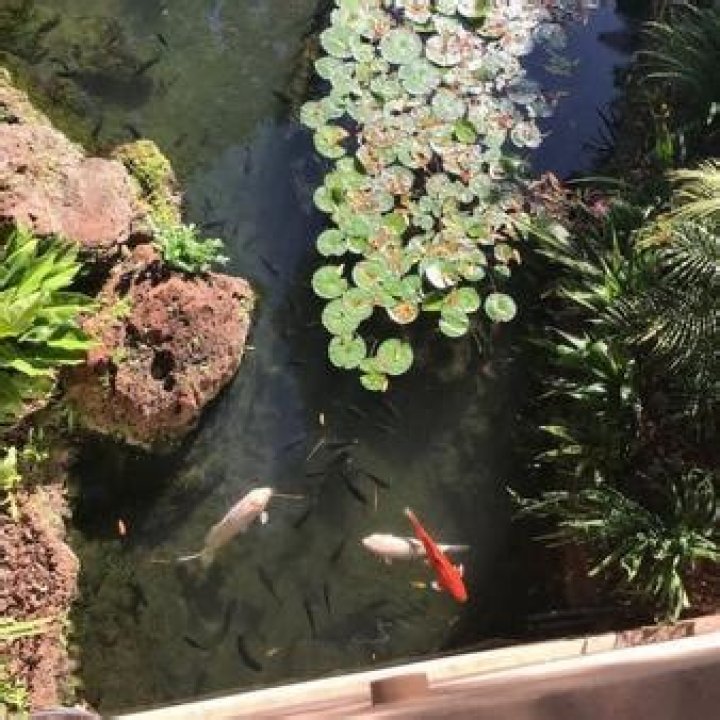 Edwin Evers Net Worth | Celebrity Net Worth