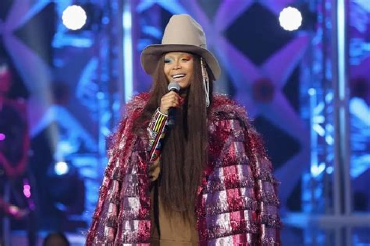 Erykah Badu Net Worth | Celebrity Net Worth