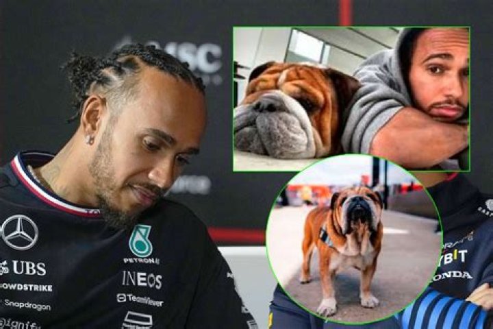 Lewis Hamilton Signs Huge New Mercedes Contract. How Much Will He Make?