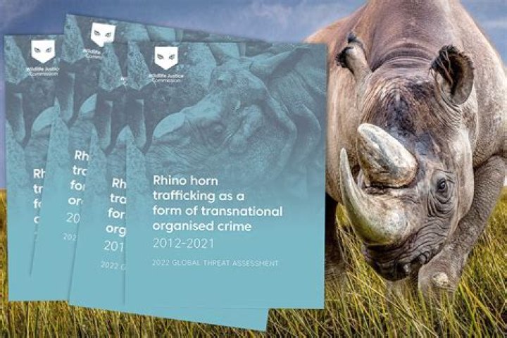 Illegal Rhino Horns Worth Millions Seized By Authorities In Thailand