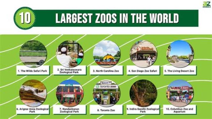 India's Richest Family Opening The World's Largest Zoo