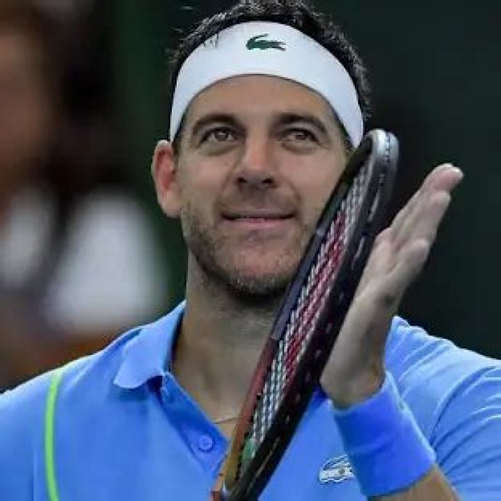 Juan Martín del Potro Net Worth