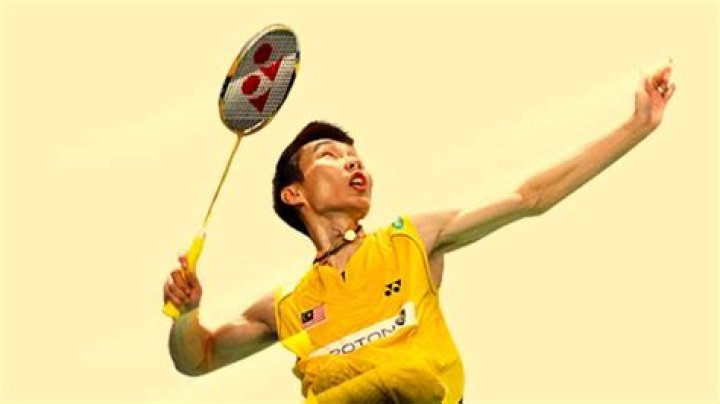 Lee Chong Wei Net Worth