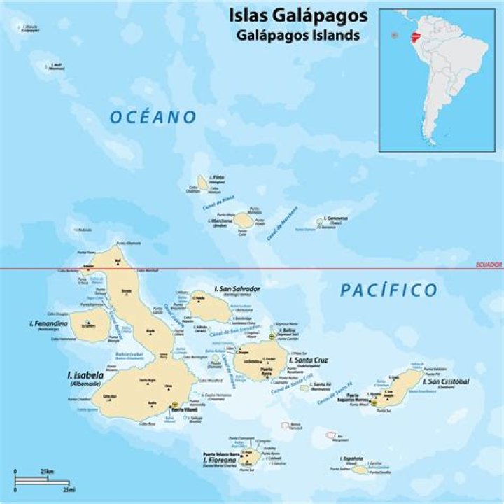 Leonardo DiCaprio Just Pledged $43 Million To Restore The Galápagos Islands