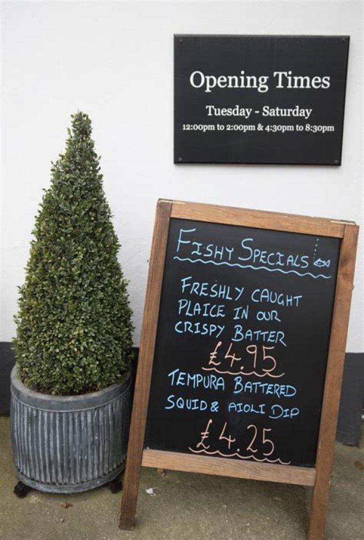 Michael Birch Net Worth | Celebrity Net Worth